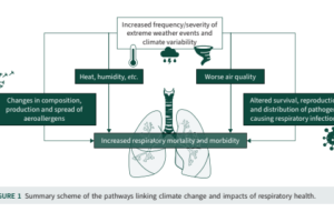 Climate change and respiratory disease: clinical guidance for healthcare professionals